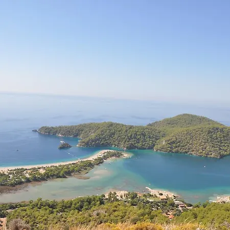 Gold 6 Mustakil Ozel Havuzlu Villa *